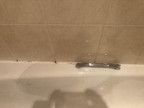 Black mould on bath. Not on for when the room cost over £100.00. For the night.