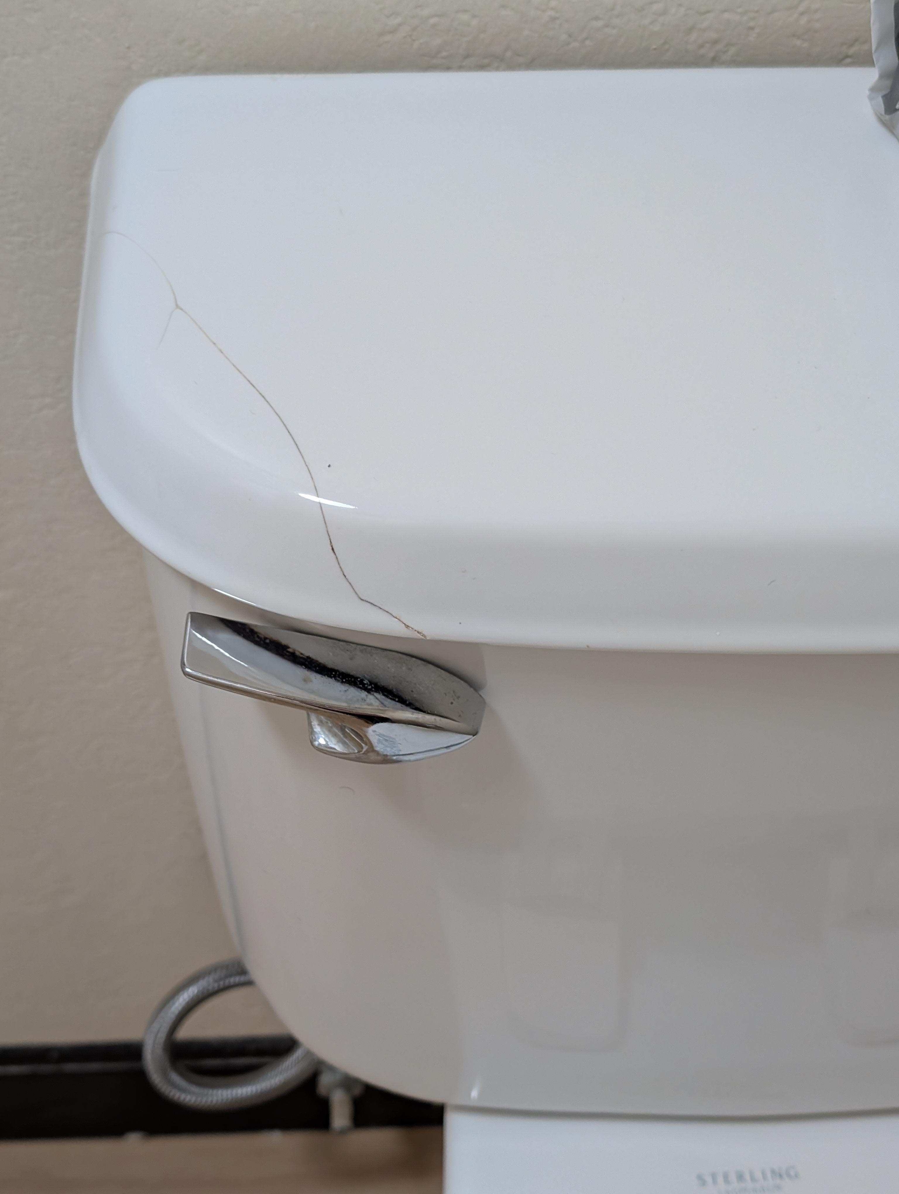 Cracked toilet and tub covered in mold! 