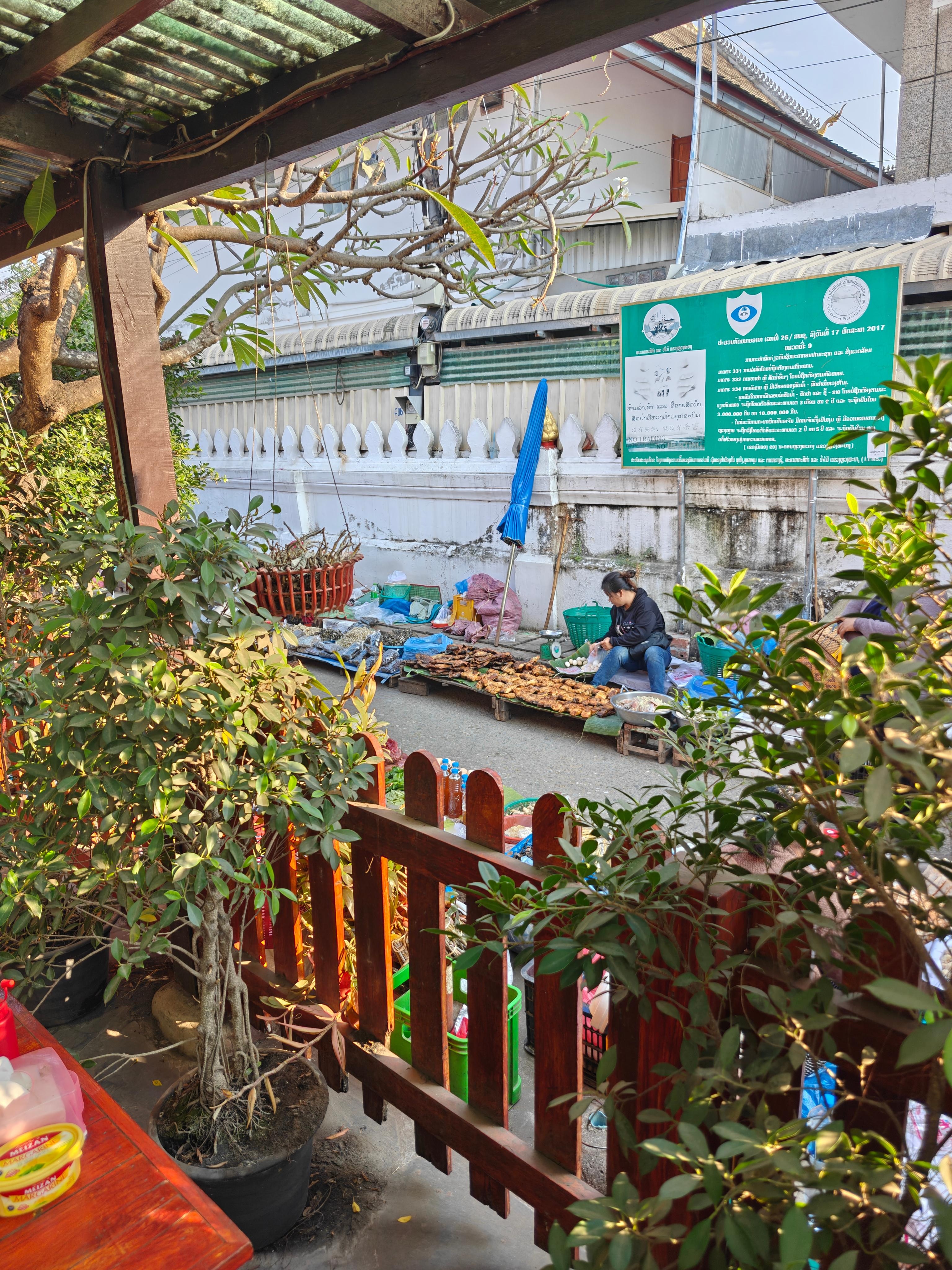 Udsigten fra hotellets terrasse til morgenmarked.
Hyggelig summen fra markedet. Overhovedet ikke larmende eller forstyrrende.