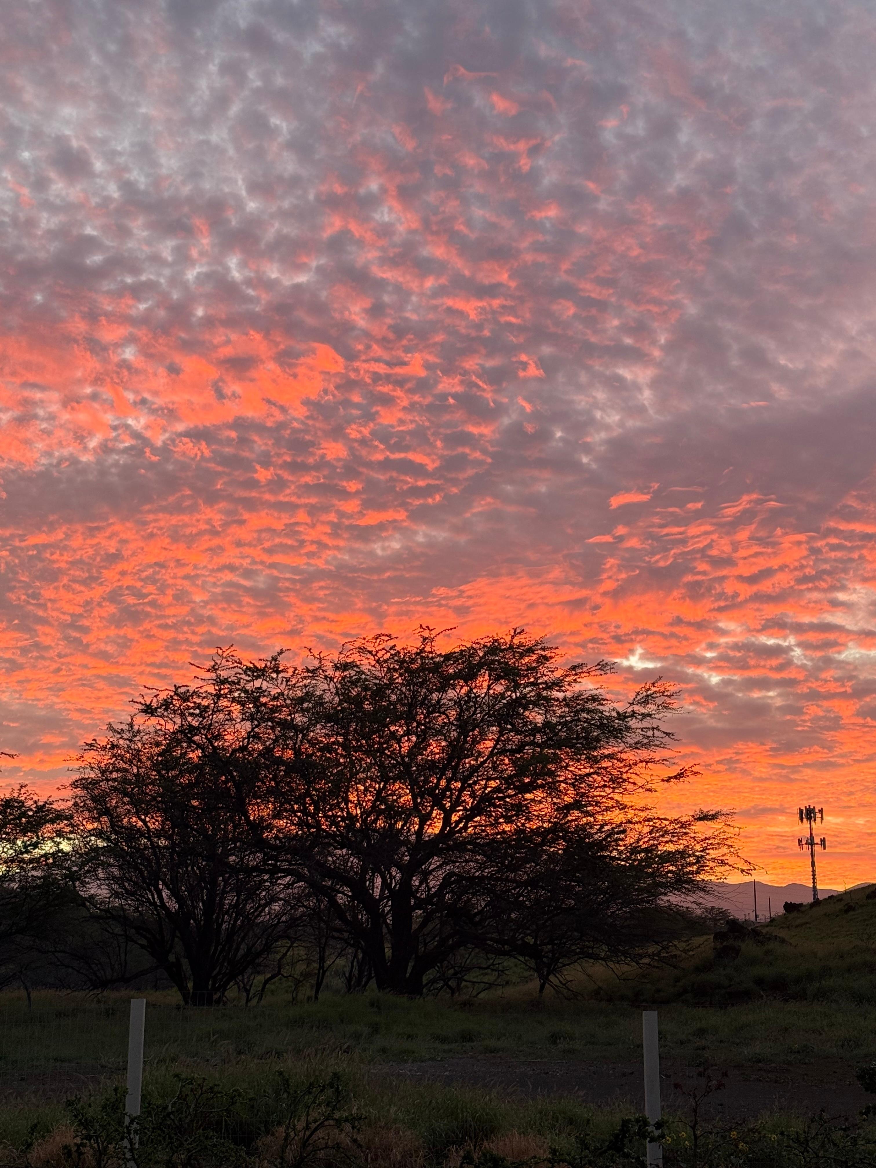 Morning sunrise from our lanai! 