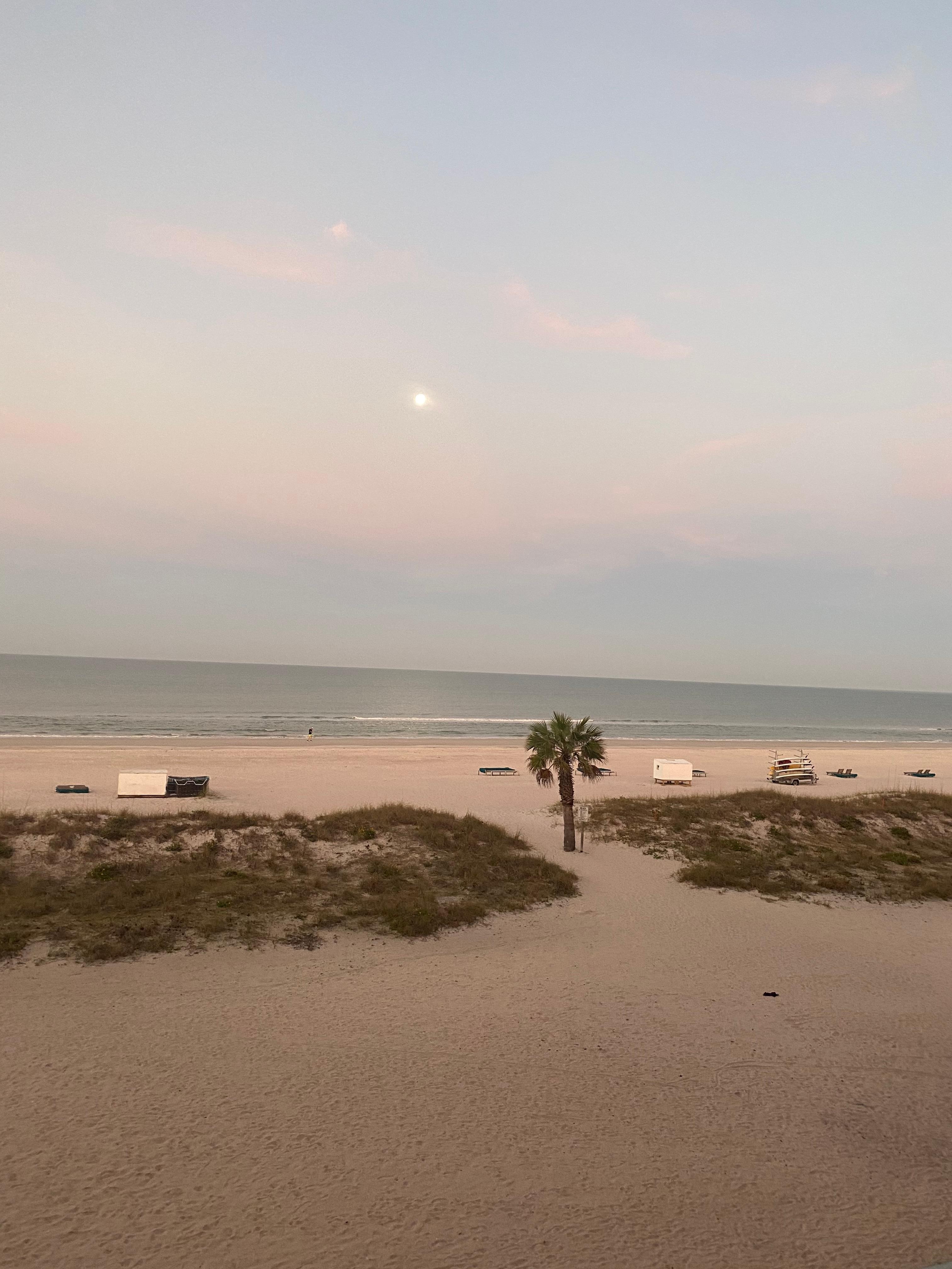 Morning view from the room.