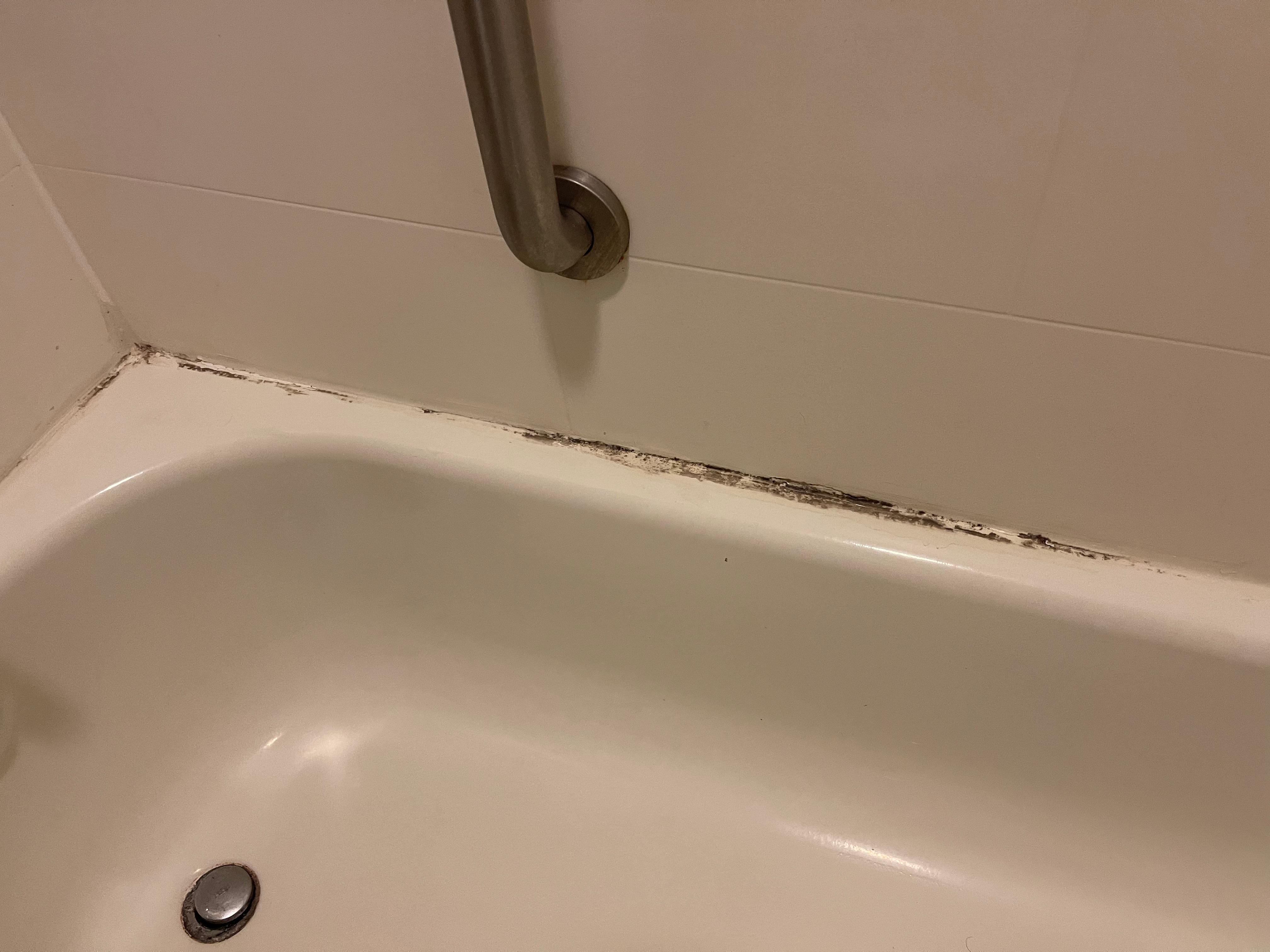 Mold in tub 