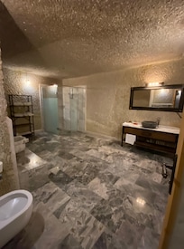Enormous bathroom, great water pressure