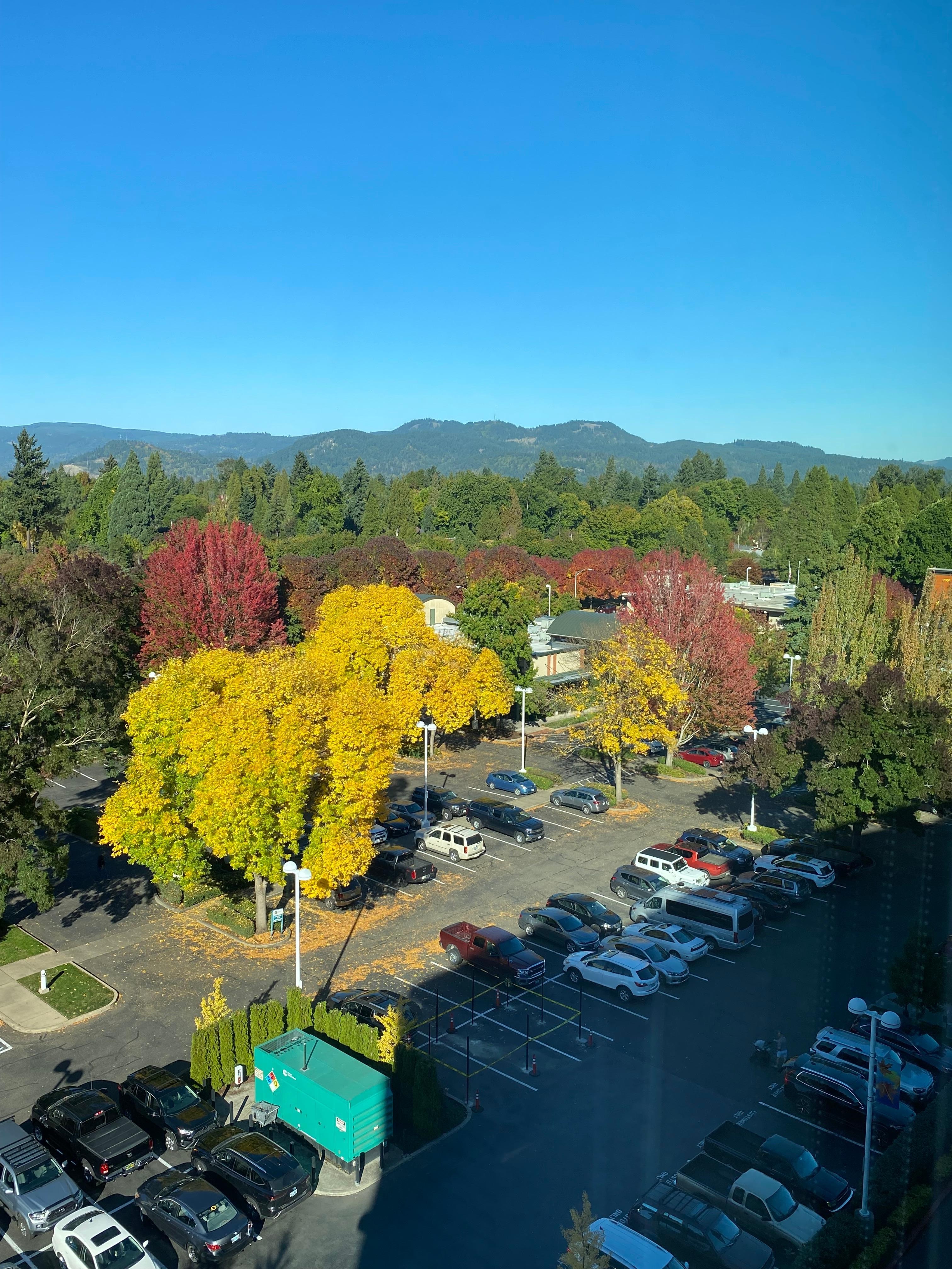 部屋からの景色(7階)
