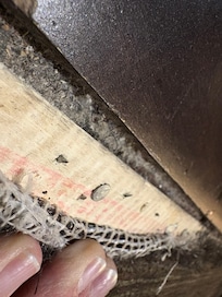 Nails sticking out of carpet. Caused an injury