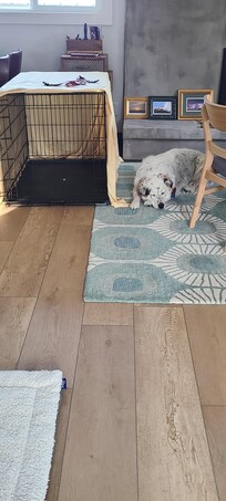 Enough room for large dog kennel