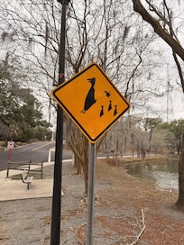 Lots of ducks and geese to feed. What a great park.