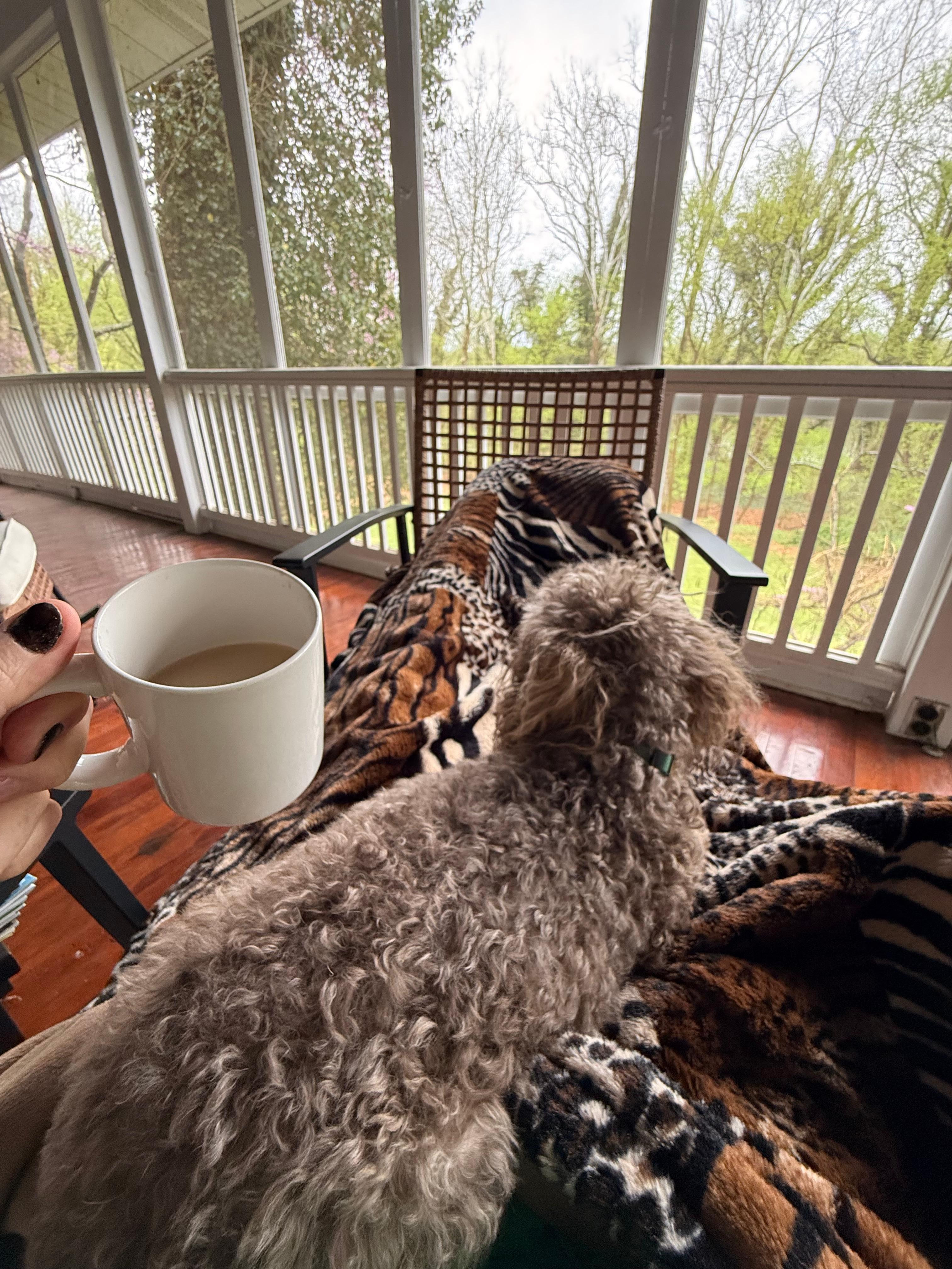 Having AM coffee on the porch/deck
