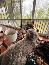 Having AM coffee on the porch/deck