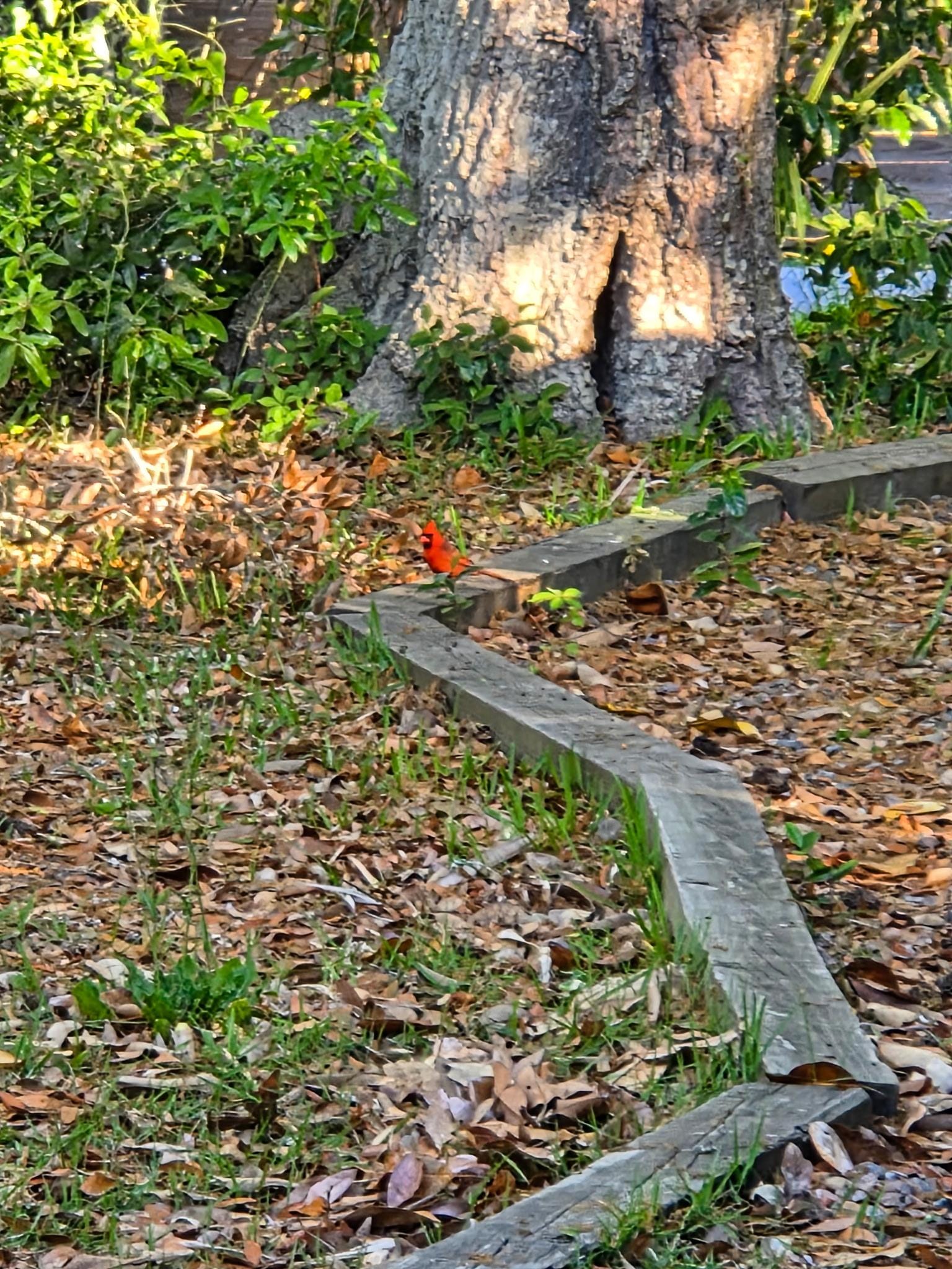 A visitor while drinking coffee