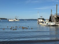 Nearby Lincolnville