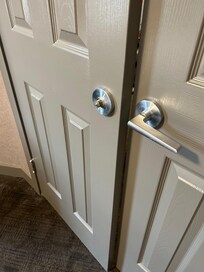 Door knob fell of and hit my dog on the head