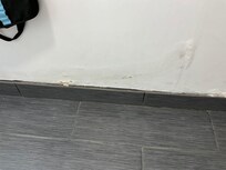 Water damage painted over