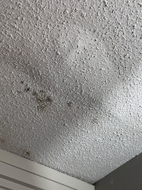 MOLD!!!!