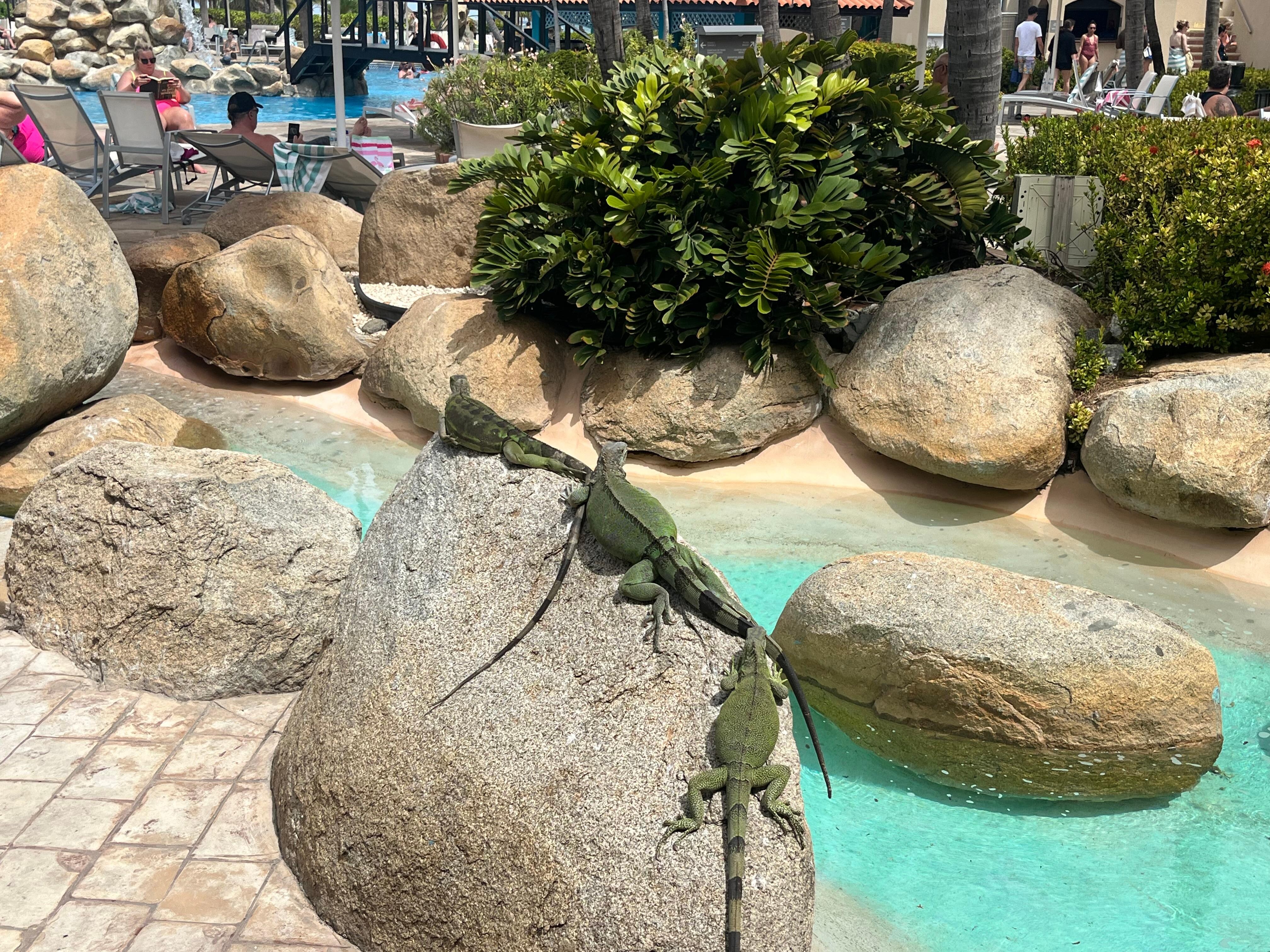 Outside the buffet