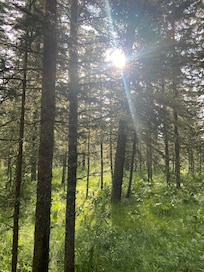 View from deck