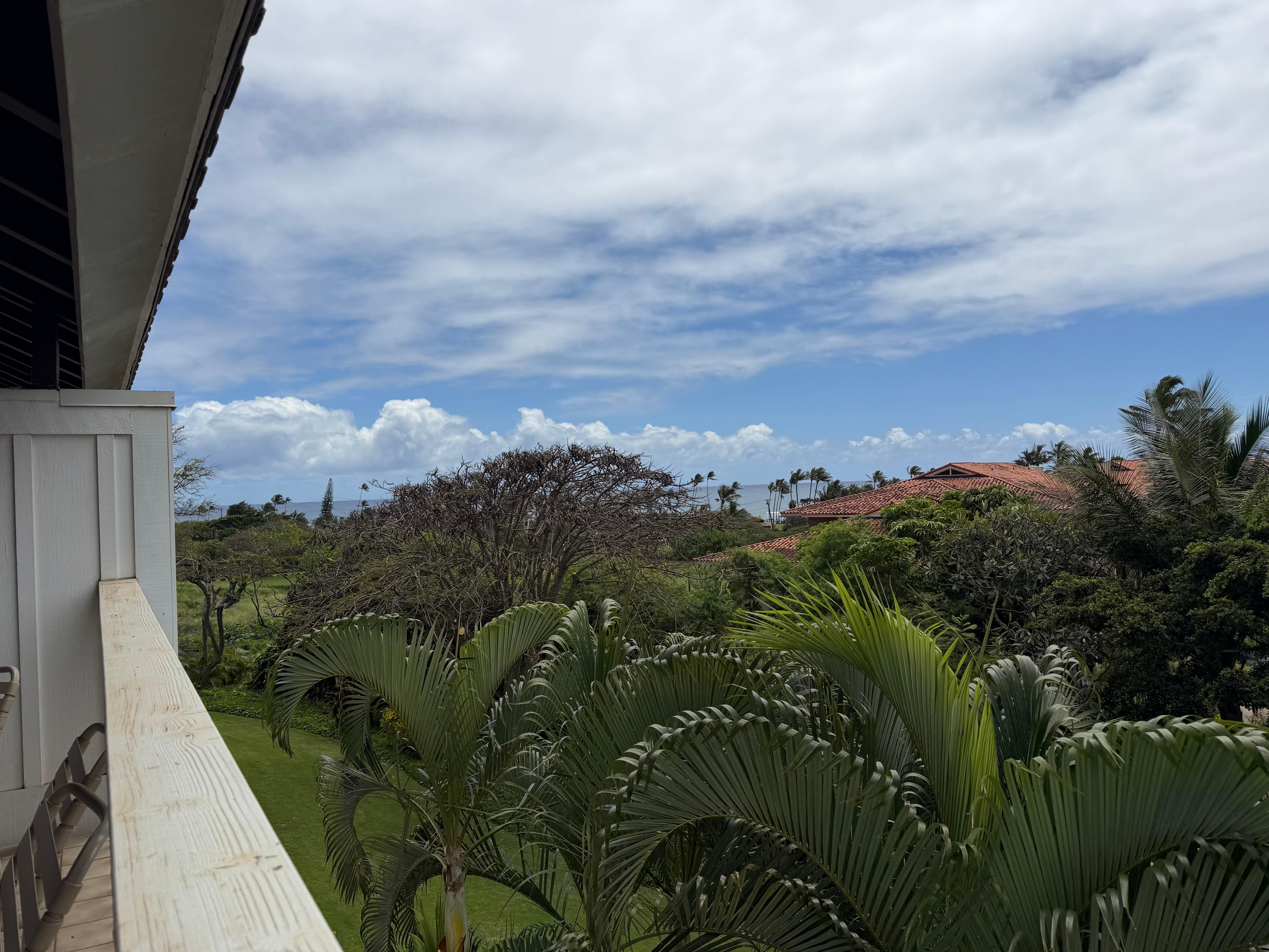 View of the ocean in the distance from the balcony! 