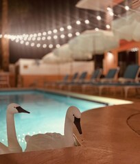 Pool at night