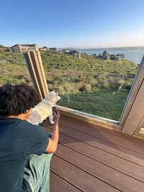 Watching the deer