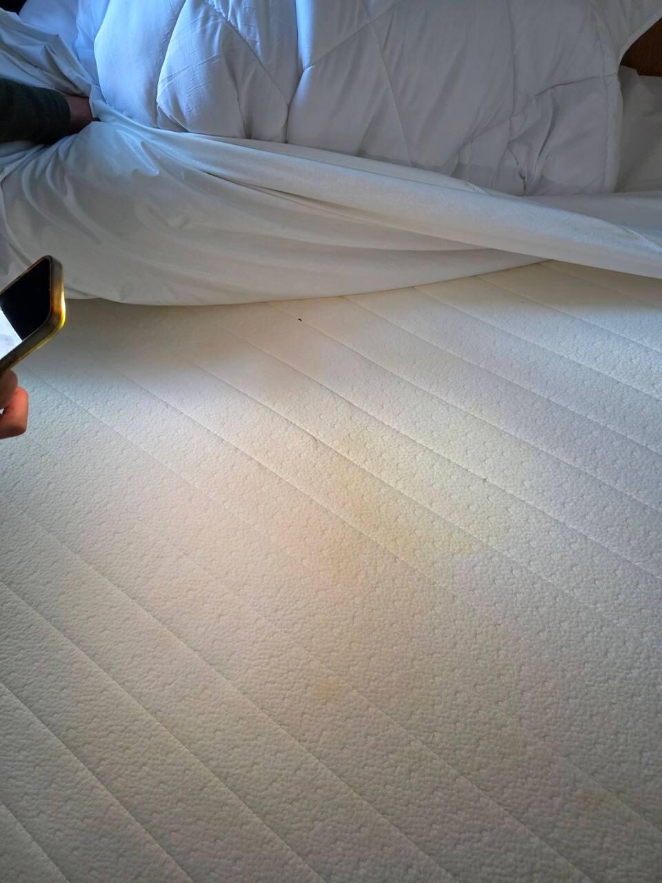 Urine stain on unmade bed