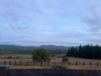 View from the back porch of the VRBo