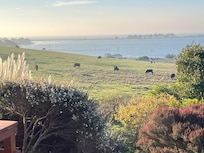 A view from our room