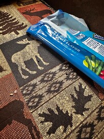 Rat poop on the couch downstairs!