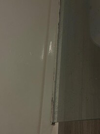bathroom mold