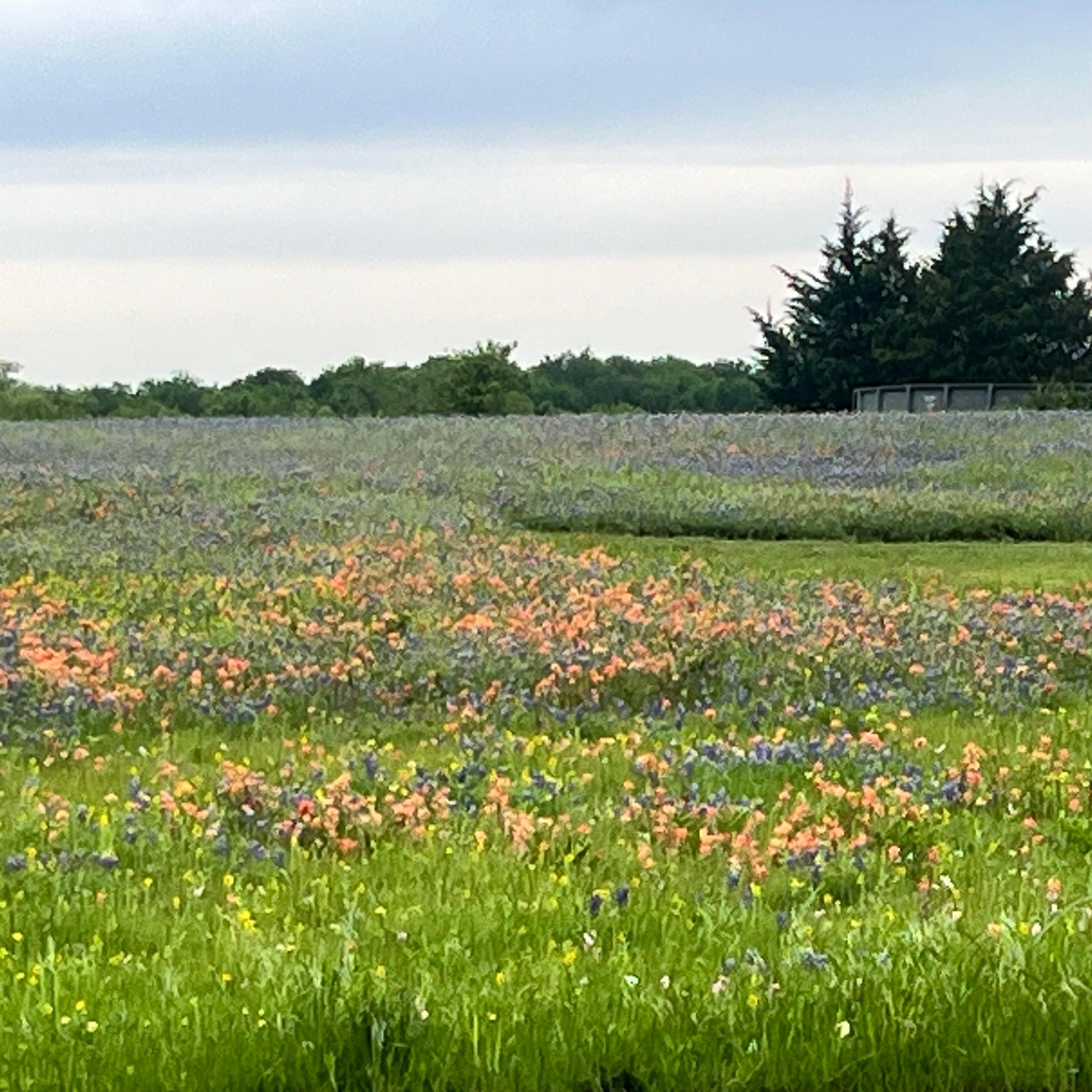 Surrounding area by Bristol Grill. 