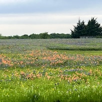 Surrounding area by Bristol Grill.