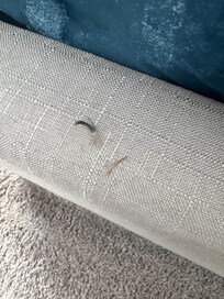Animal hair on bed frame