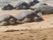 Taken at a nearby beach