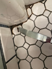 Toilet water caused gross buildup on the floor