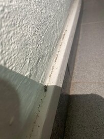 Baseboard by bed where bedbugs were found during check in after the room was “deep cleaned”