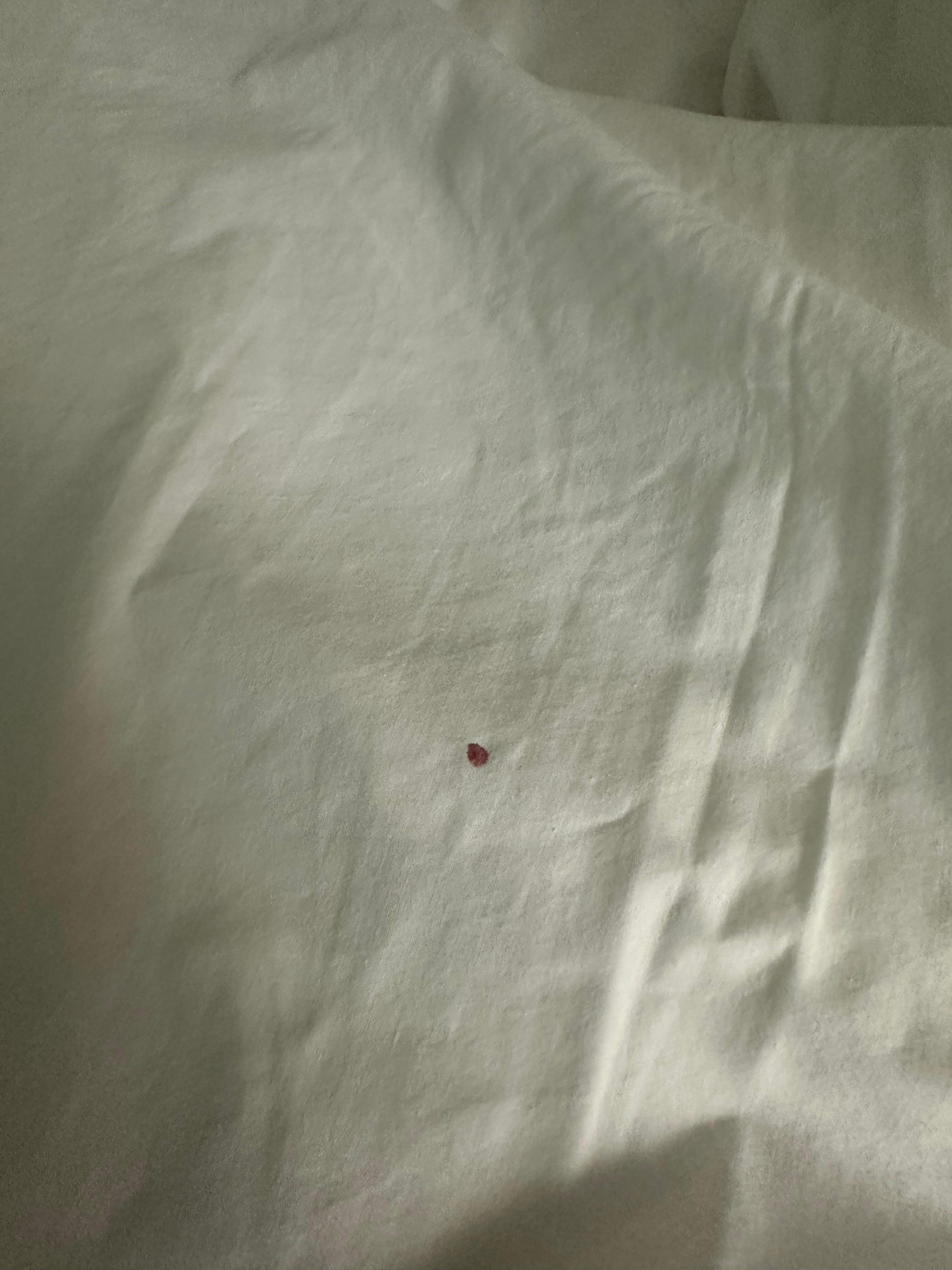 Blood on sheet