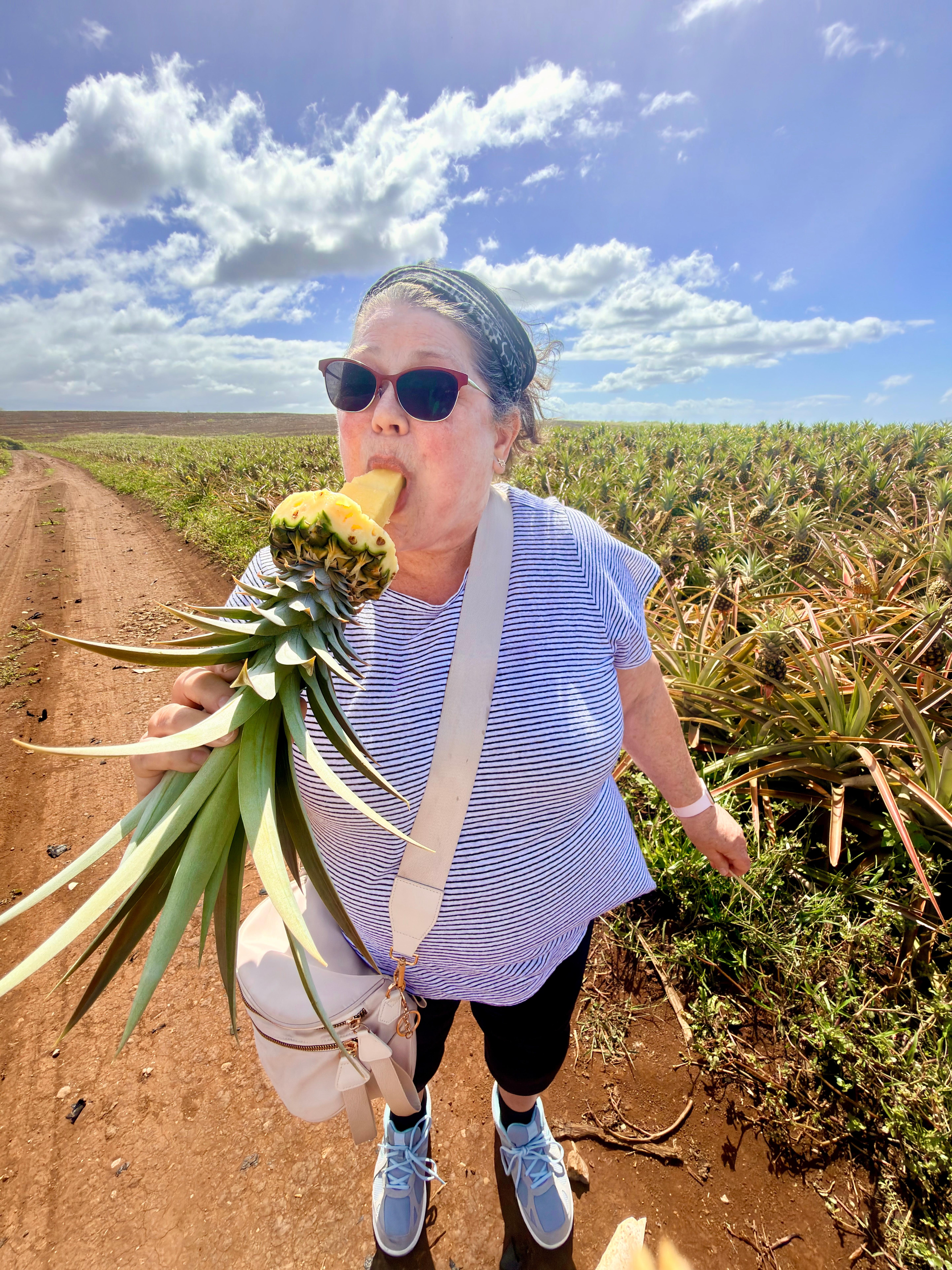 Gold pineapple tour that day was beautiful. The other pitchers were out the front window.