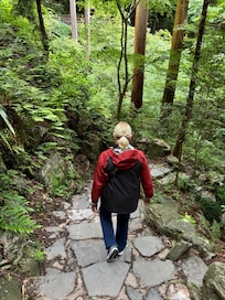 Yoro falls trail