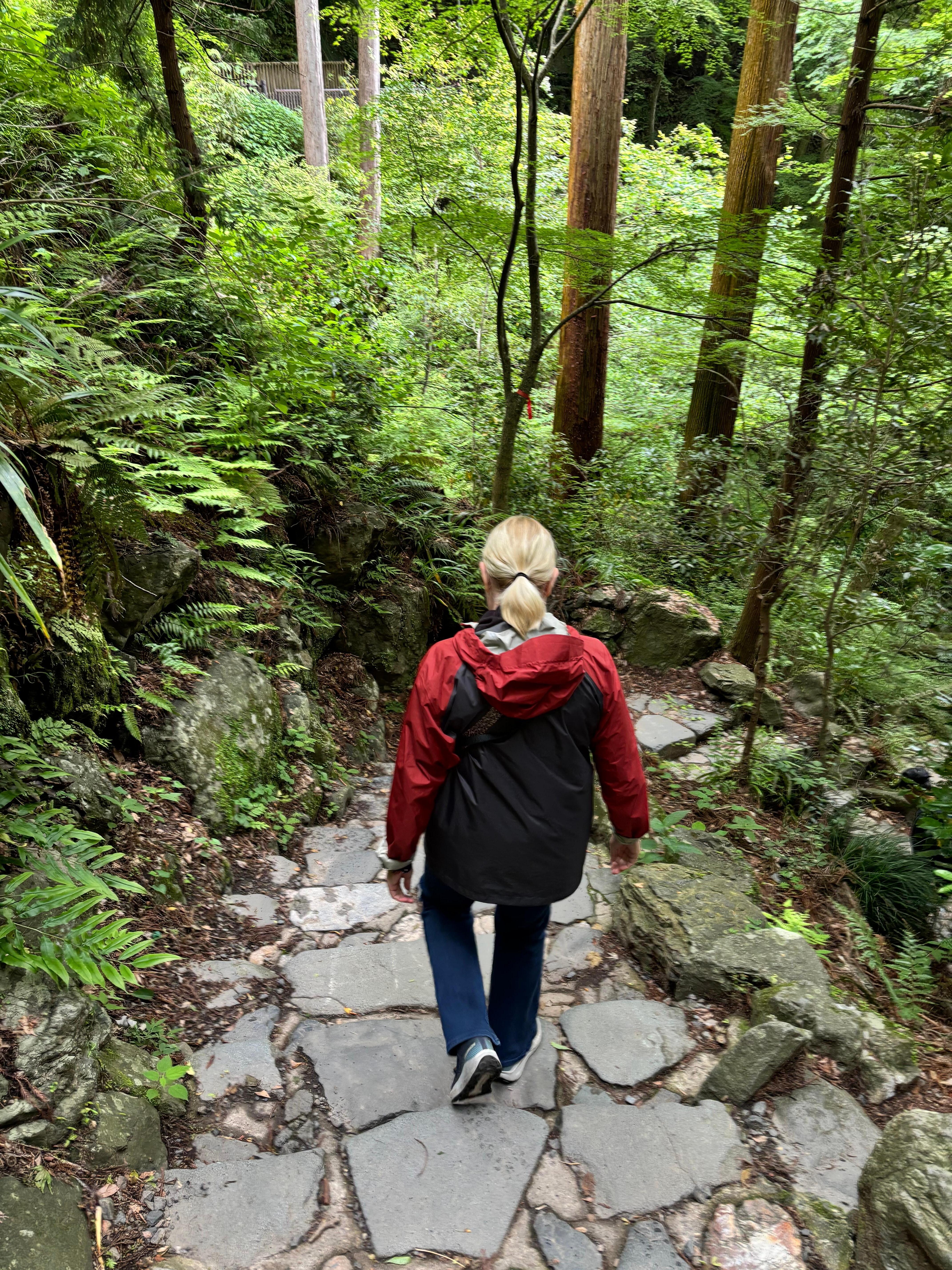 Yoro falls trail