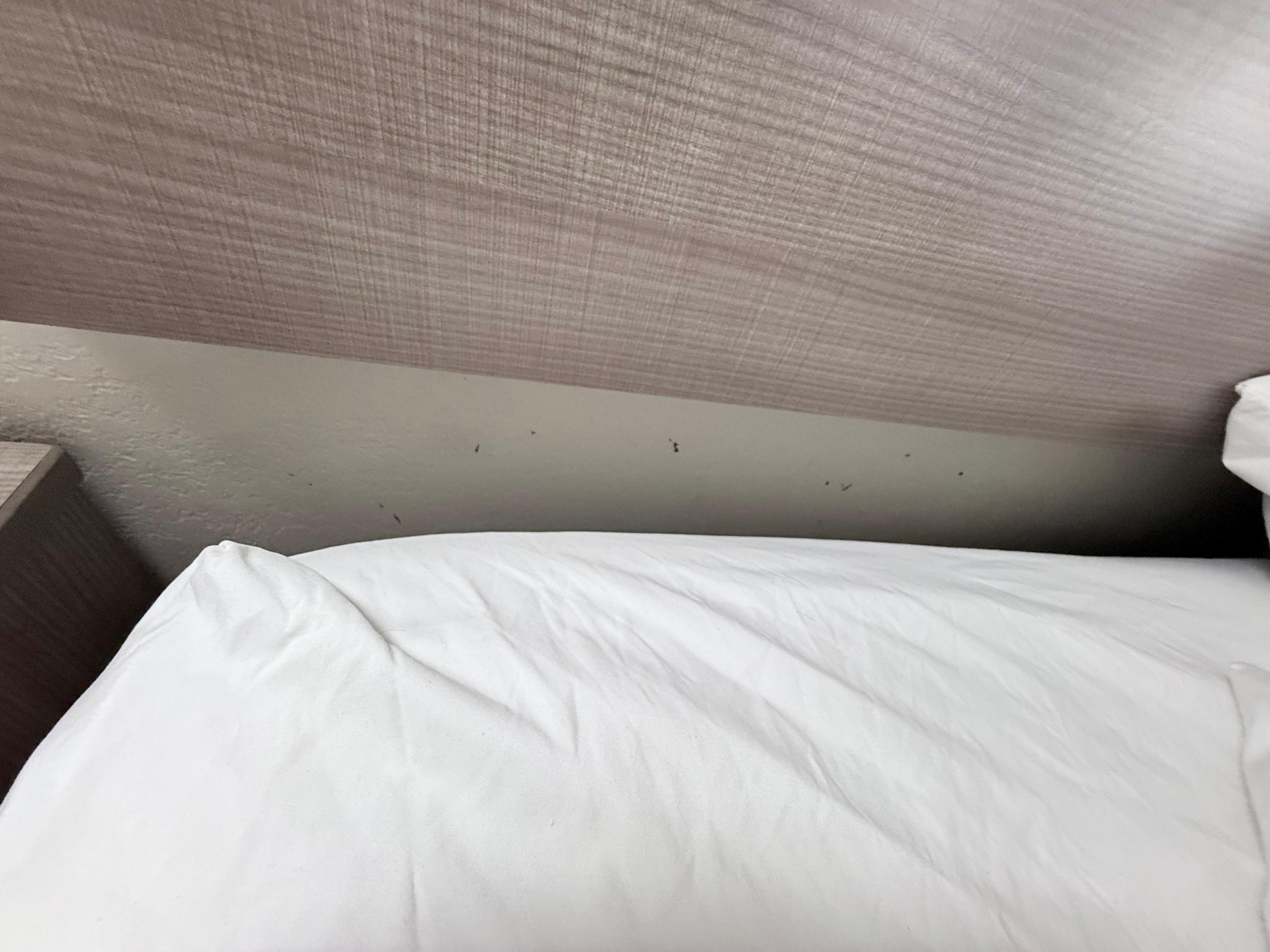 Appeared to be blood 