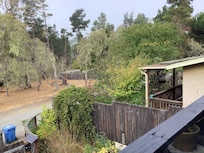 A sweet small garden with a loaded lemon tree