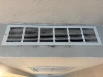Mold in the vents