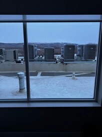 The view from my window.