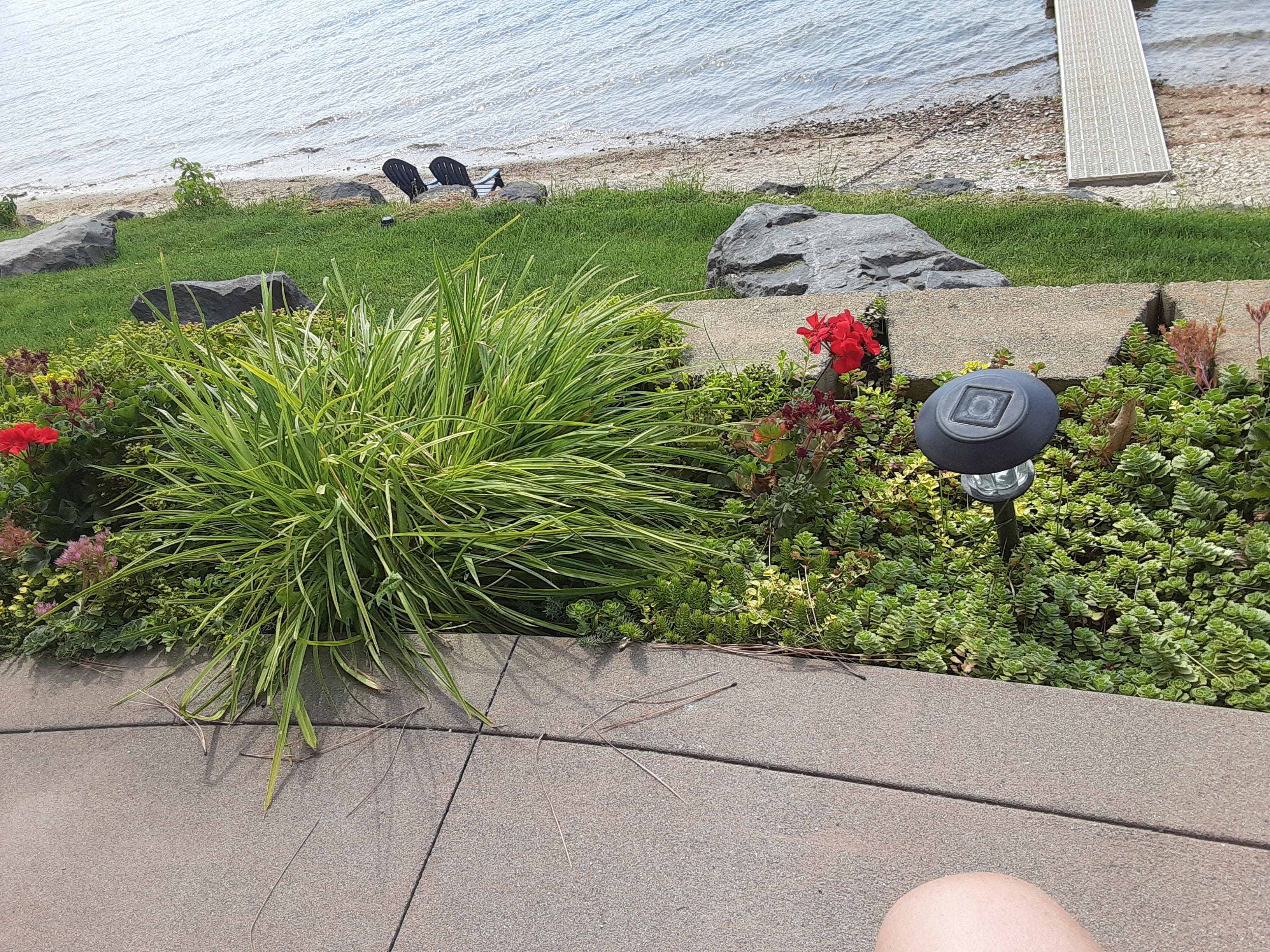 Everything around house was beautiful and green.