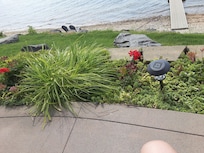 Everything around house was beautiful and green.