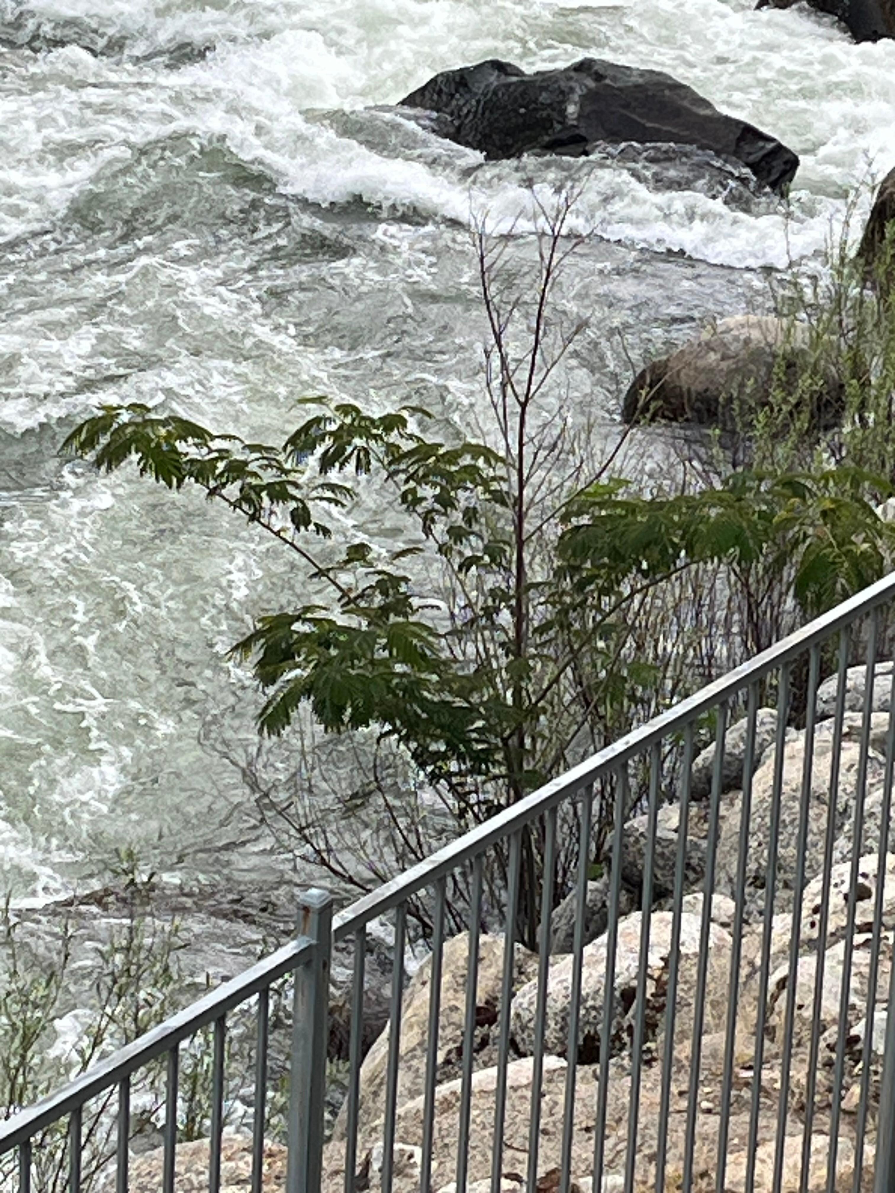 The view from our balcony!  Stunning!