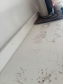No cleaning disgusting