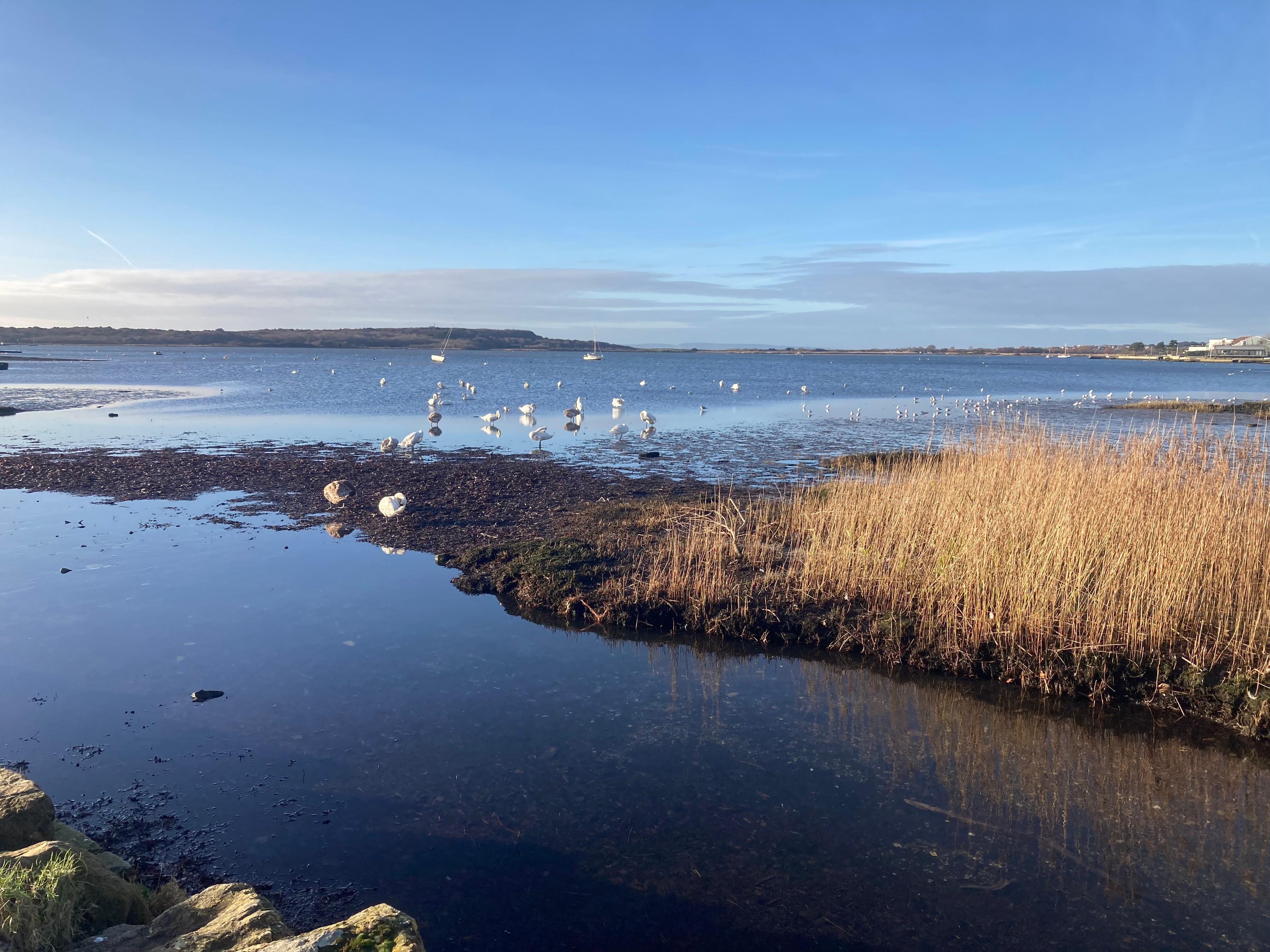 From Mudeford Quay