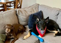 Gracie and Ben felt quite at home