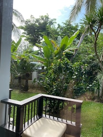 This is picture. I took from my room back yard garden