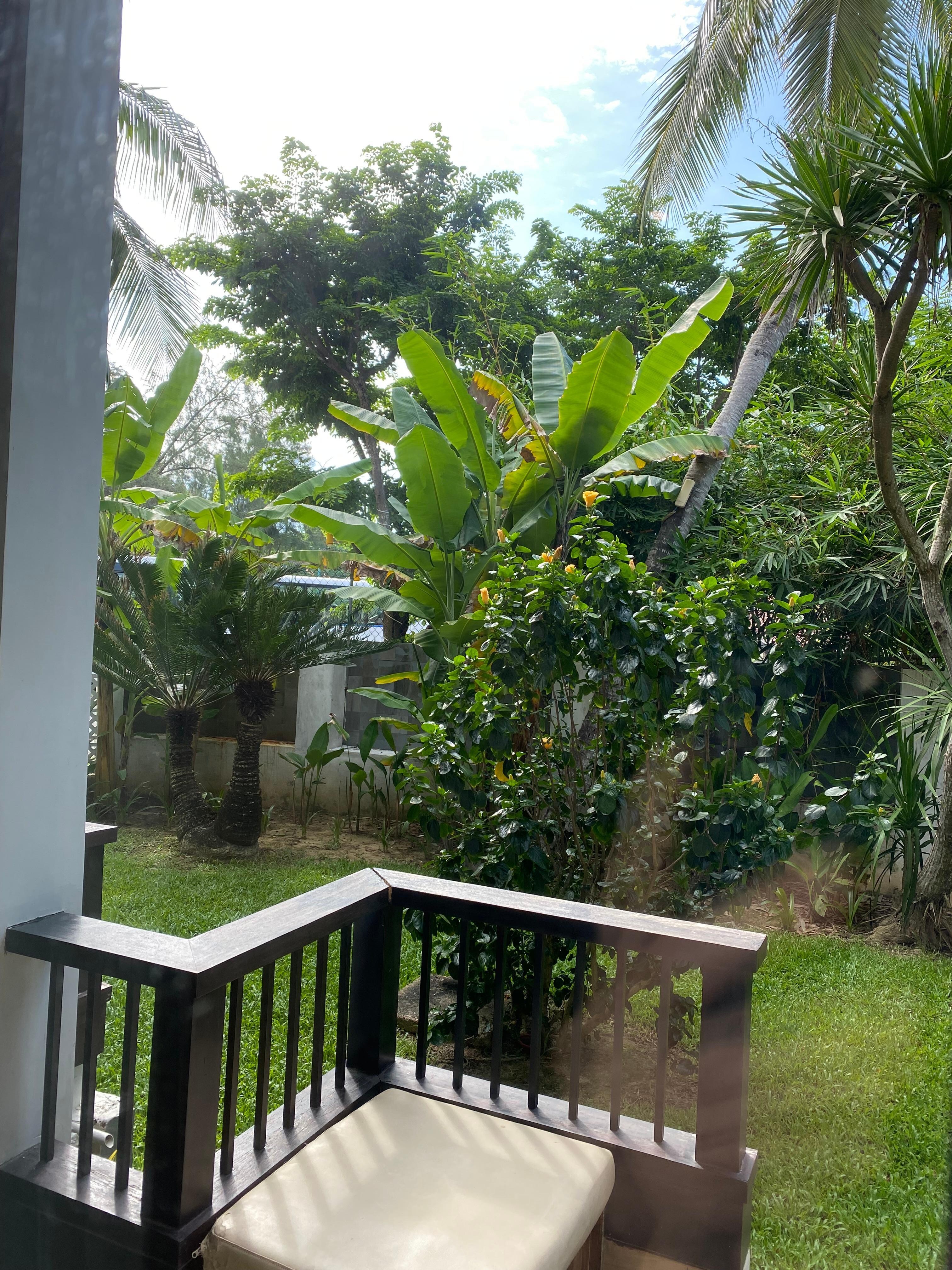 This is picture. I took from my room back yard garden 
